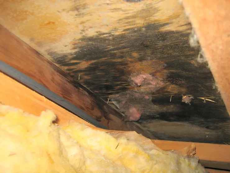 Why it’s important NOT to go over your old roofing shingles!
