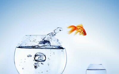 A Complete Water Management Guide for New Landscape