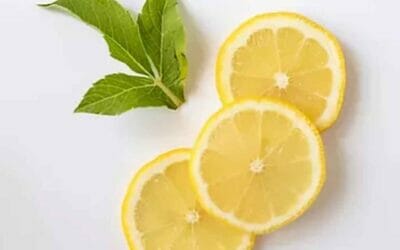 Clever Ways to Get Rid of Pesky Insects at Home